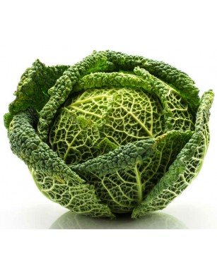 Graines De Chou De Bruxelles Vilmorin - Sachet De Semis Pour Potager, Résistant Et Bon Voisinage